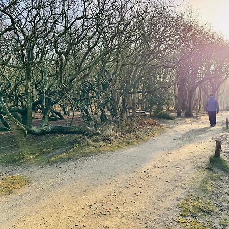 Beach & Forest Retreat -Domburg- โอชต์คาเปลเล ภายนอก รูปภาพ