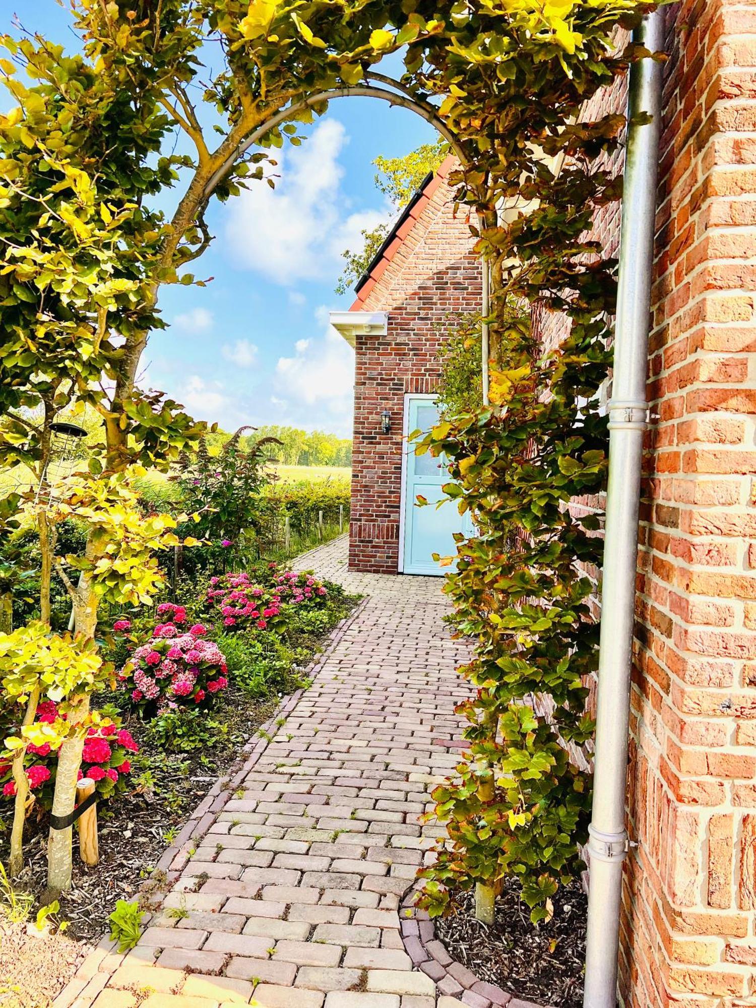 Beach & Forest Retreat -Domburg- โอชต์คาเปลเล ภายนอก รูปภาพ