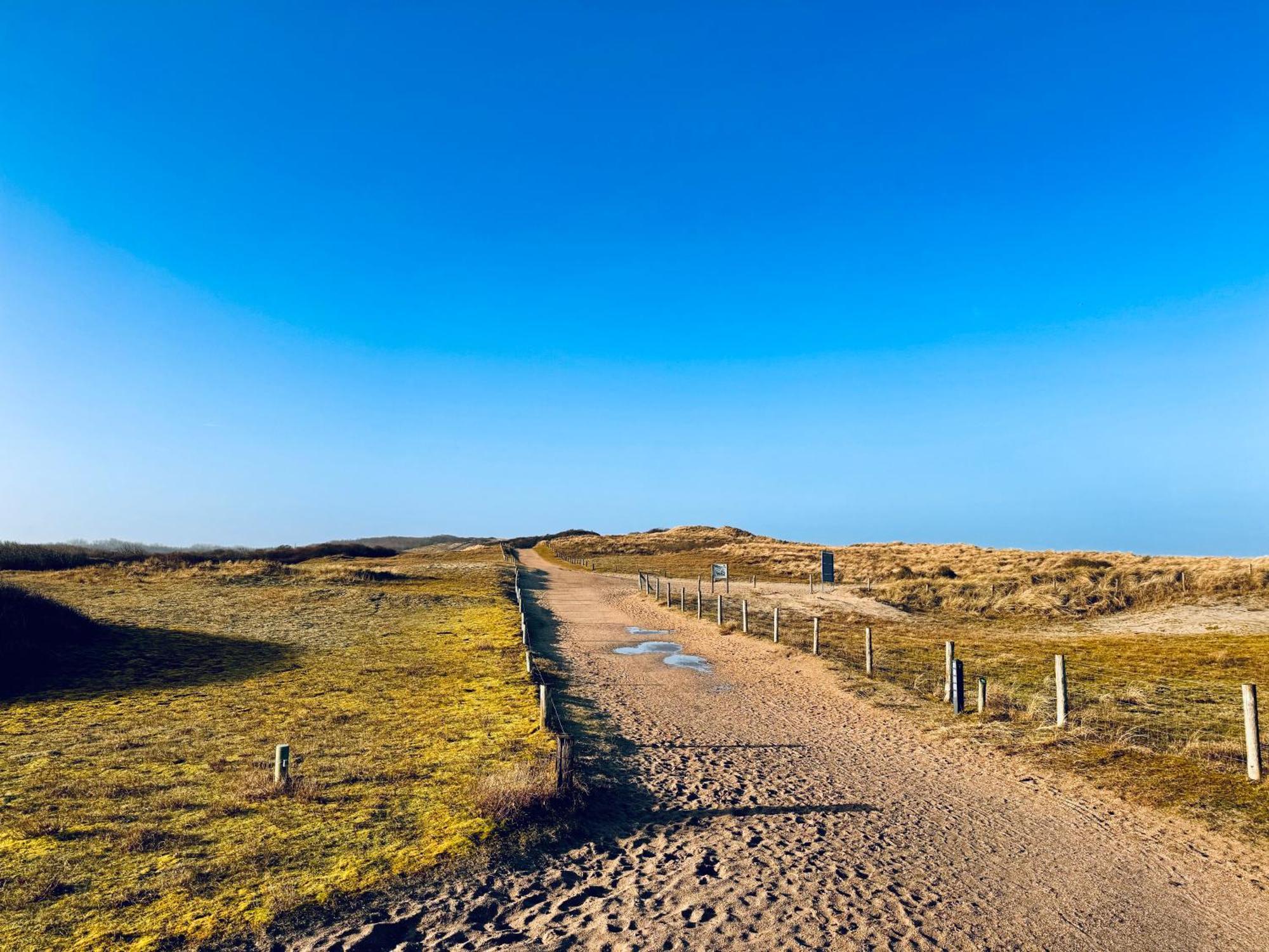 Beach & Forest Retreat -Domburg- โอชต์คาเปลเล ภายนอก รูปภาพ