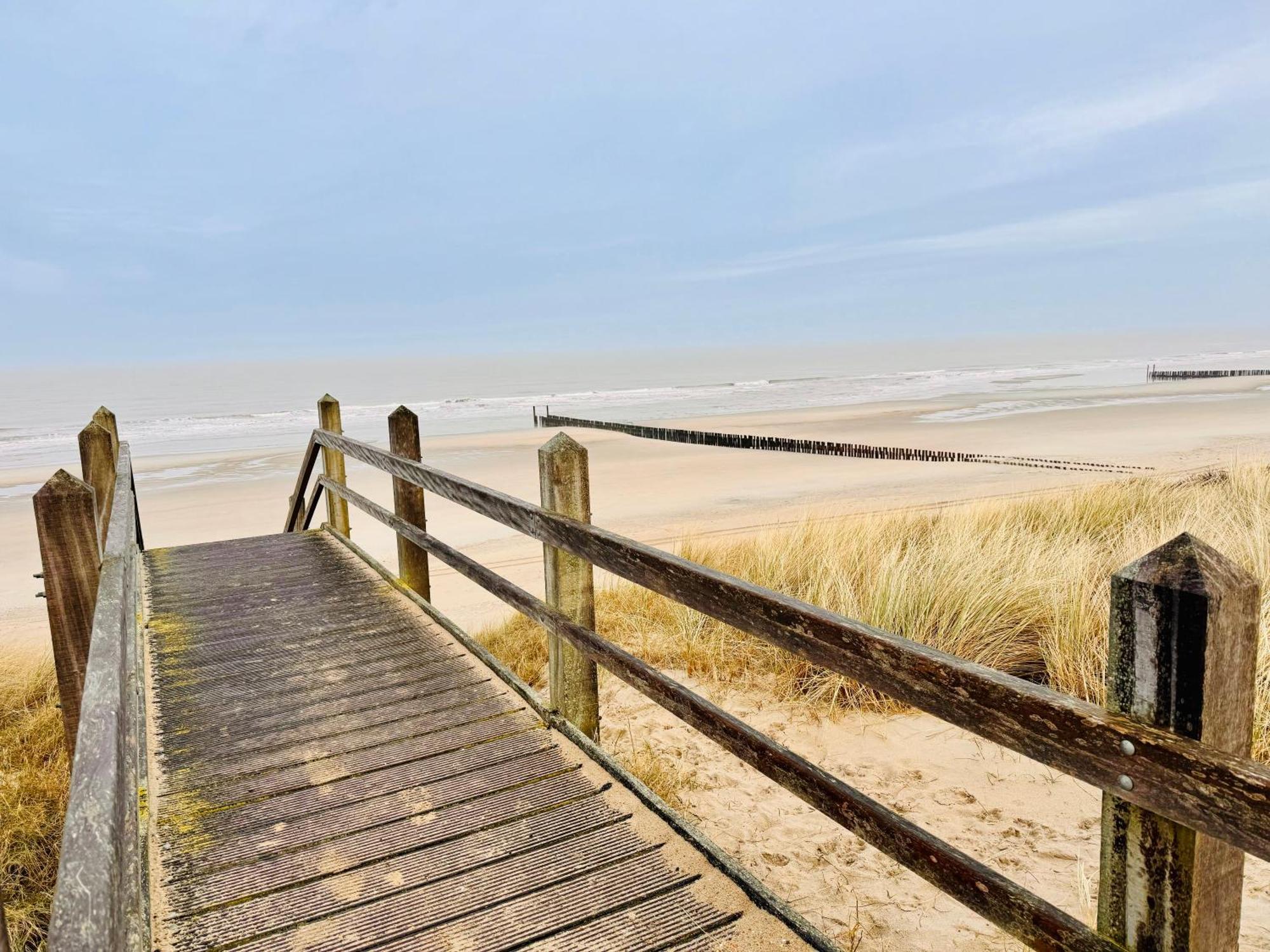 Beach & Forest Retreat -Domburg- โอชต์คาเปลเล ภายนอก รูปภาพ