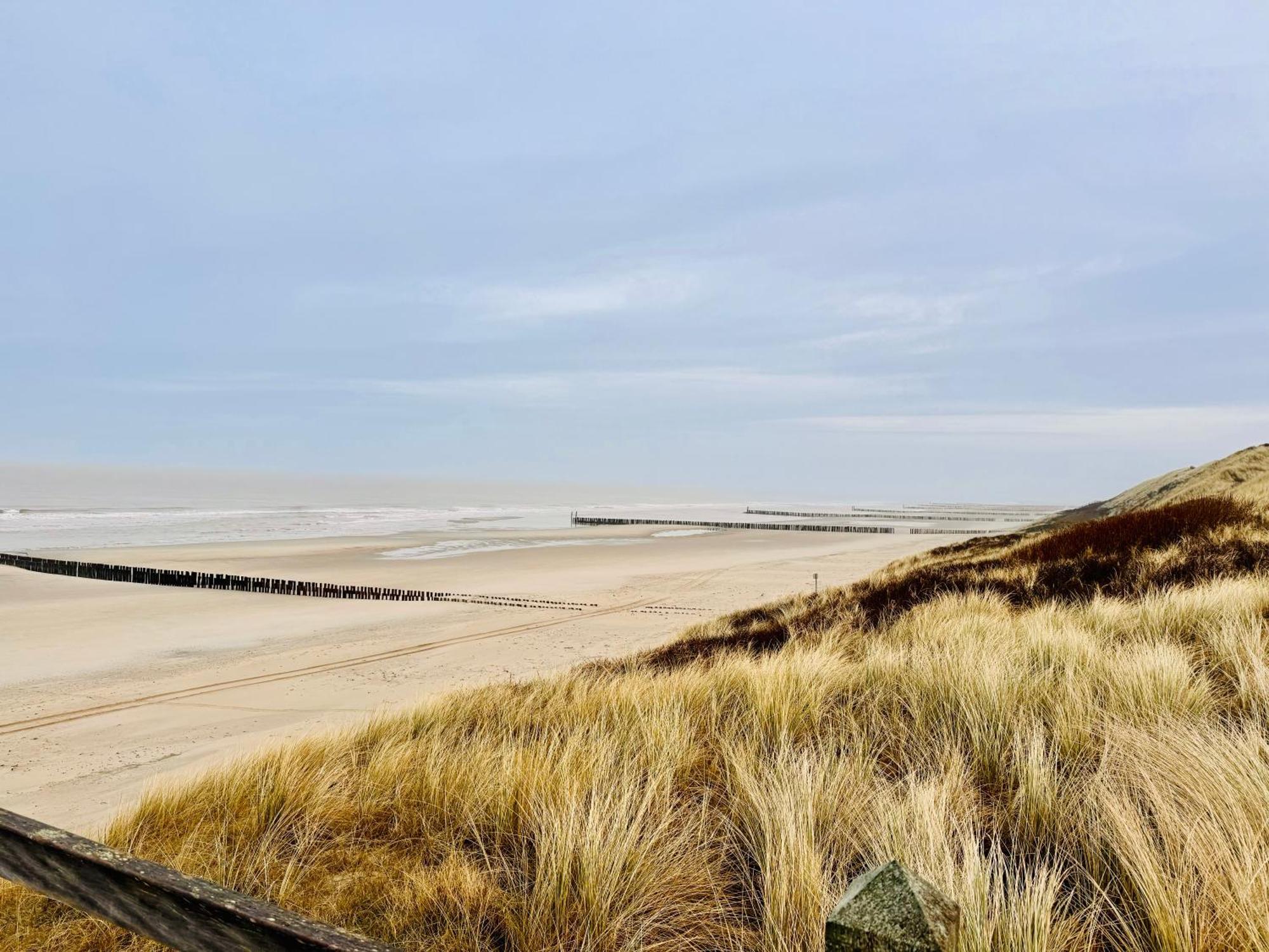 Beach & Forest Retreat -Domburg- โอชต์คาเปลเล ภายนอก รูปภาพ