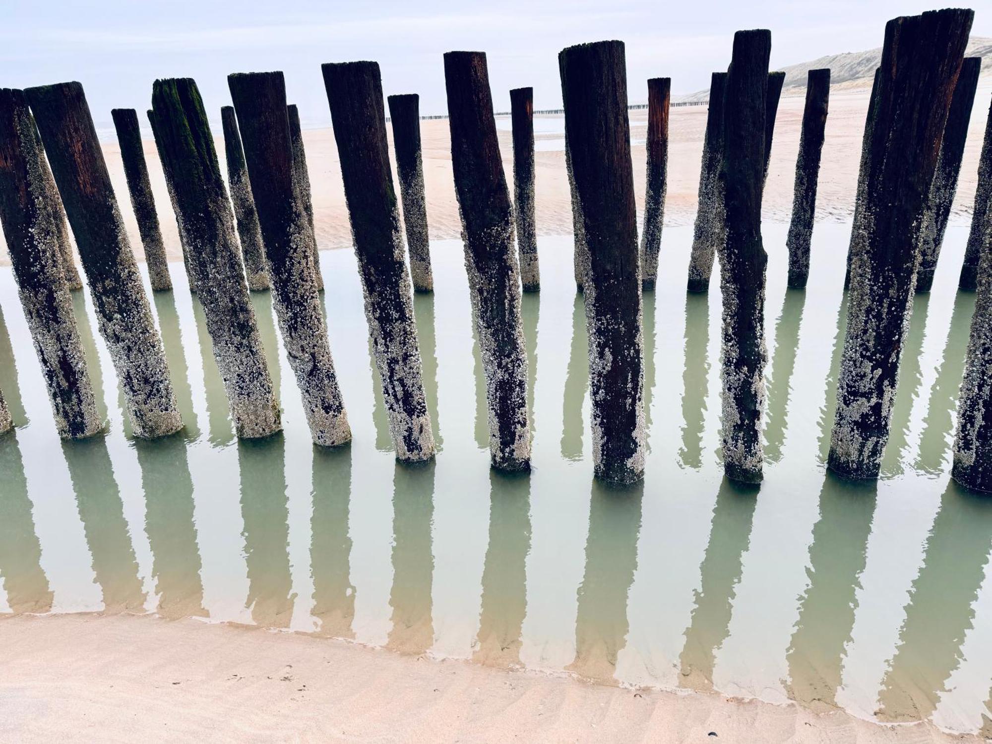Beach & Forest Retreat -Domburg- โอชต์คาเปลเล ภายนอก รูปภาพ