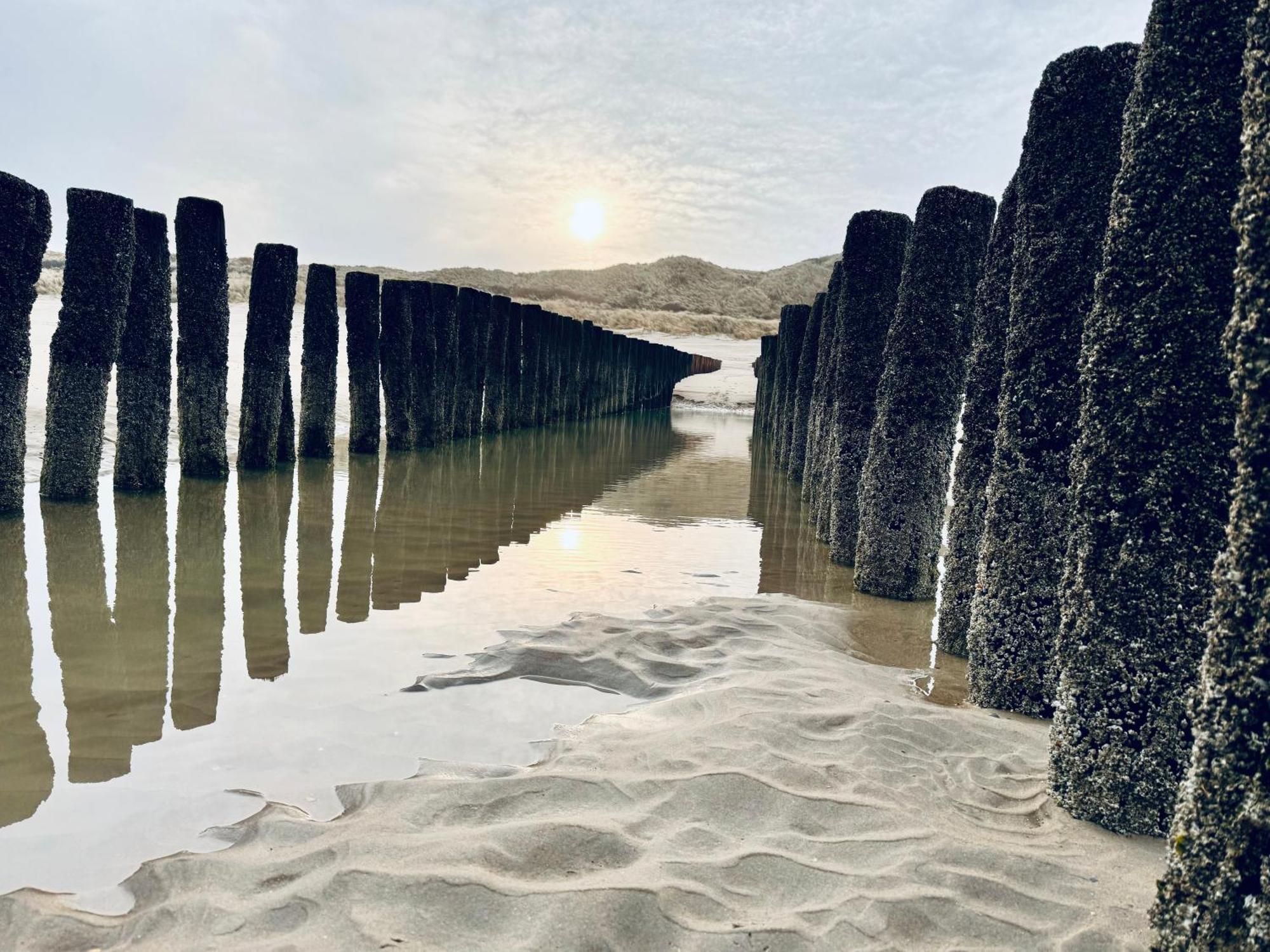 Beach & Forest Retreat -Domburg- โอชต์คาเปลเล ภายนอก รูปภาพ