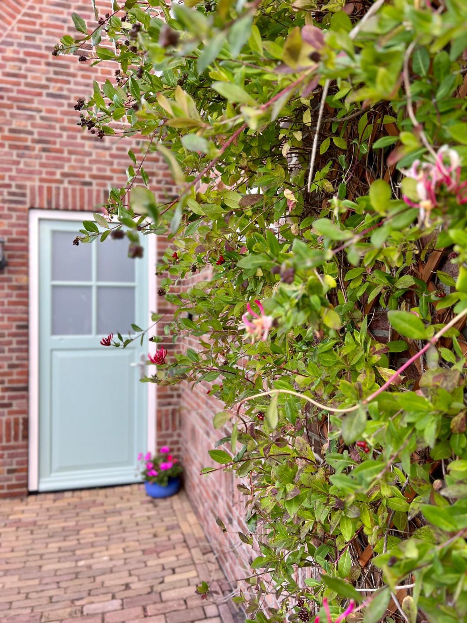 Beach & Forest Retreat -Domburg- โอชต์คาเปลเล ภายนอก รูปภาพ